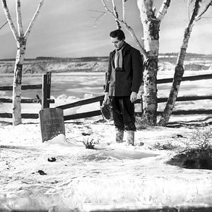 Bilder Der junge Mr. Lincoln