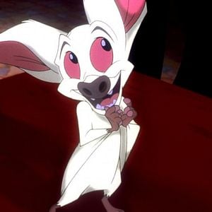 Bilder Bartok, der Großartige