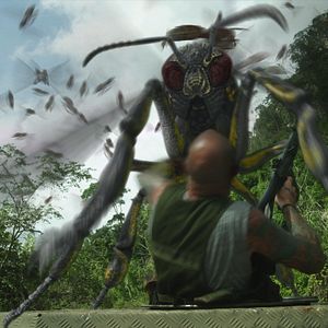 Bilder Dragon Wasps - Mutierter Terror aus der Luft