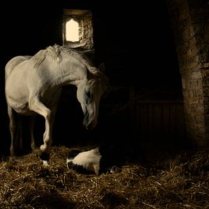 Bilder Michael Kohlhaas