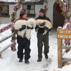 Bilder Ein Hund rettet die Weihnachtsferien