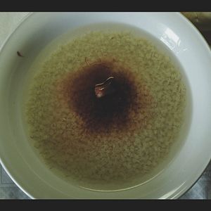 Bilder The Haunting of Helena