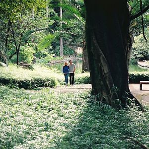 Bilder O Sol nos Meus Olhos
