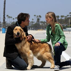 Bilder Noch eine tierische Bescherung