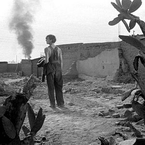 Bilder Miradas múltiples. La máquina loca