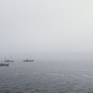 Bilder Looking for North Koreans