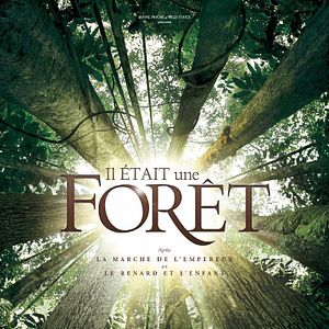 Bilder Das Geheimnis der Bäume