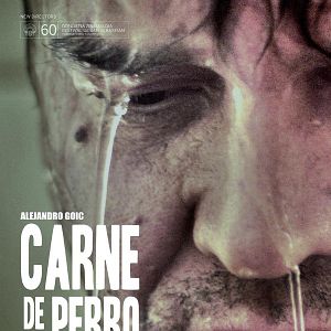 Bilder Carne De Perro