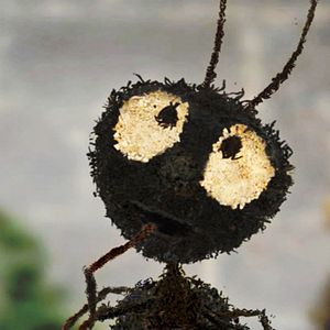 Bilder La petite fabrique du monde