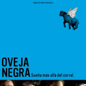 Bilder Oveja negra - Black Sheep