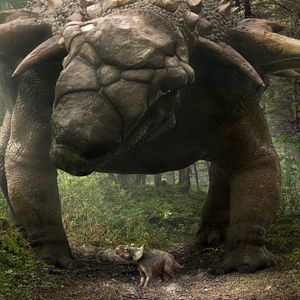 Bilder Dinosaurier 3D - Im Reich der Giganten