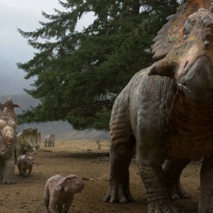 Bilder Dinosaurier 3D - Im Reich der Giganten