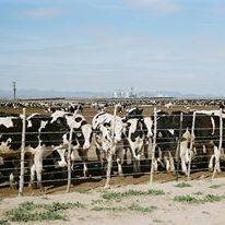 Bilder Fall and Winter