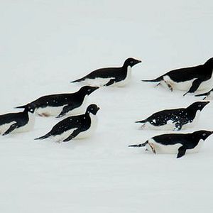 Bilder The Last Ocean