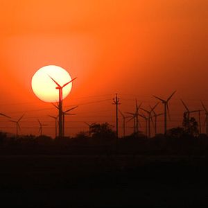 Bilder The Carbon Rush