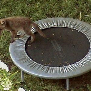 Bilder Mo & Friese unterwegs - Auf zu neuen Abenteuern