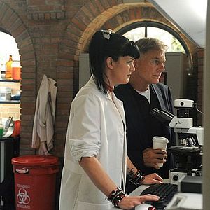 Bilder Pauley Perrette