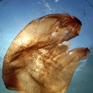 Bilder A Plastic Ocean