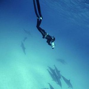 Bilder A Plastic Ocean