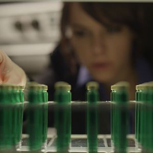 Bilder Emily Hampshire