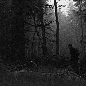 Bilder Two Years at Sea