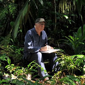 Bilder Das Geheimnis der Bäume