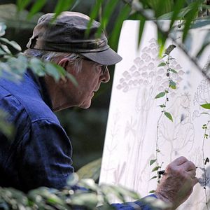 Bilder Das Geheimnis der Bäume