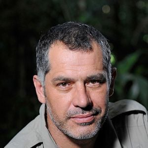 Bilder Das Geheimnis der Bäume