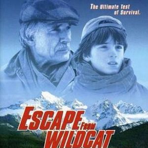 Bilder Im Tal der Wildkatzen (TV)