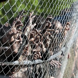 Bilder The Walking Dead