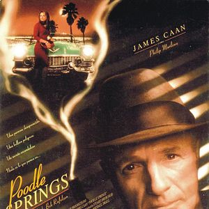 Bilder Poodle Springs