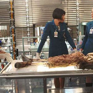 Bilder Tamara Taylor