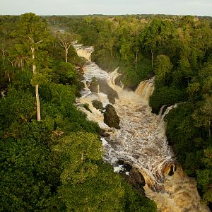 Bilder Das Geheimnis der Bäume