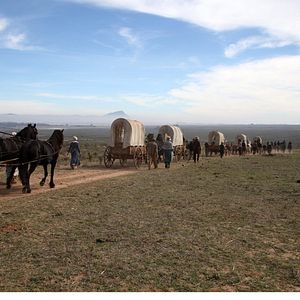 Bilder In einem wilden Land