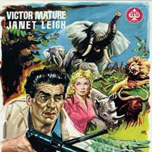 Bilder Der König der Safari