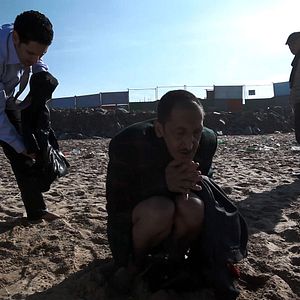 Bilder C'est eux les chiens...