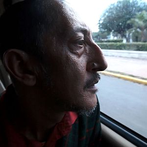 Bilder C'est eux les chiens...