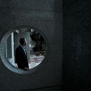 Bilder C'est eux les chiens...