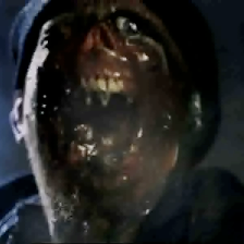 Bilder Big Ass Spider!