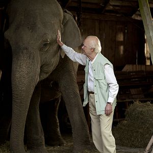 Bilder Der Hundertjährige, der aus dem Fenster stieg und verschwand