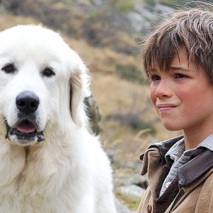 Bilder Belle & Sebastian