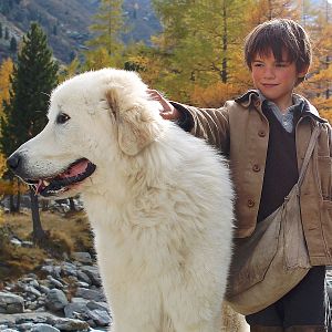 Bilder Belle & Sebastian