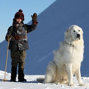 Bilder Félix Bossuet