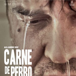 Bilder Carne De Perro