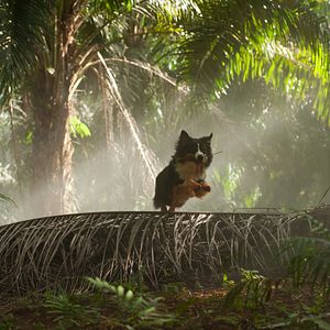 Bilder Fünf Freunde 3