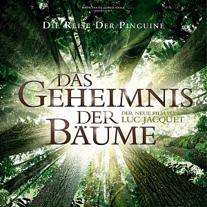 Bilder Das Geheimnis der Bäume
