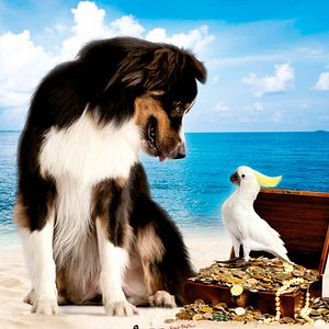 Bilder Fünf Freunde 3