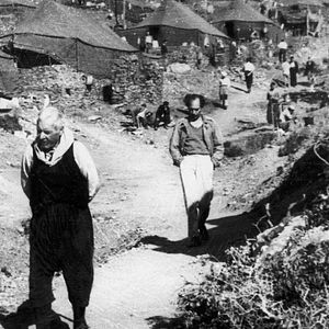 Bilder Wie steinerne Löwen am Eingang der Nacht