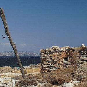 Bilder Wie steinerne Löwen am Eingang der Nacht