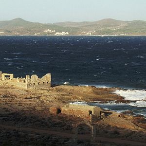 Bilder Wie steinerne Löwen am Eingang der Nacht